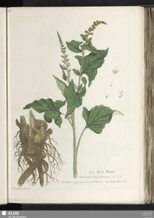 Le Bon Henri