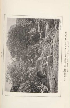 The Tiriêri. The "Holy place" or Toda sanctum