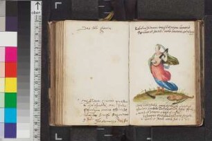 Stösser, Johann Heinrich; Blatt 44