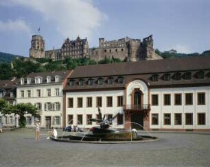 Ehemaliges Großherzogliches Palais & Ehemalige kurpfälzische Landschreiberei & Akademie der Wissenschaften