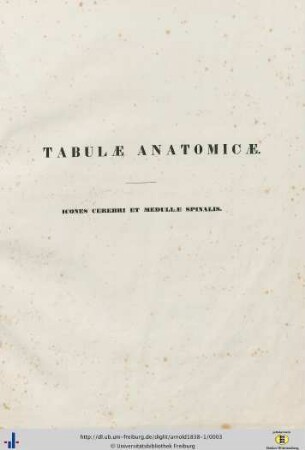 Fasc. 1: Tabulae anatomicae: quas ad naturam accurate descriptas in lucem edidit: Icones cerebri et medullae spinalis : decem tabulae elaboratae et totidem adumbratae