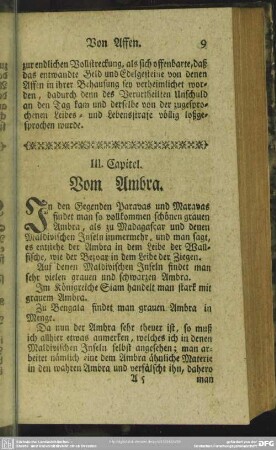 III. Capitel. Vom Ambra