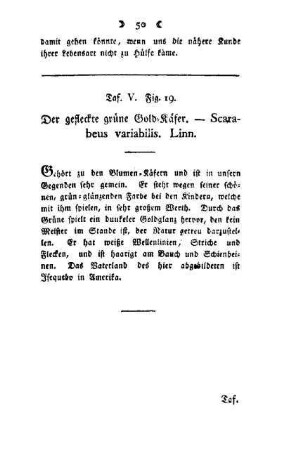 ¬Der¬ gefleckte grüne Gold-Käfer : Scarabeus variabilis, Linn ; Taf. V, Fig. 19