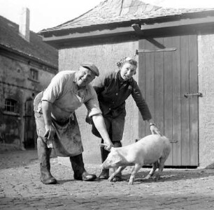 Bauer, Bäuerin und Schwein