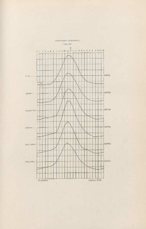 Lámina XVI. Componente horizontal. 1890-1897