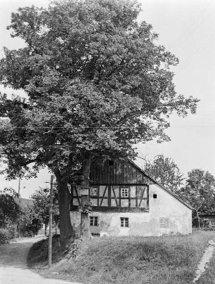 Wanscha