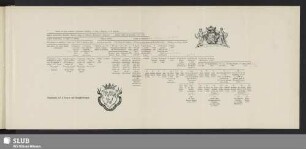 Stammtafel der v. Hoym auf Burgscheidungen