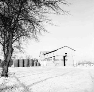 Heinrichshof, Gut: Schweinemastanlage: Futtermittelgebäude mit Silos: im Hintergrund rechts Schweineställe: links Baum: Winter