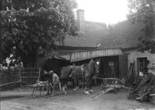 Dorfschmiede : Frohburg, Dorfschmiede. Hufschmiede bei der Arbeit beim Hufbeschlagen im Hof der Schmiede