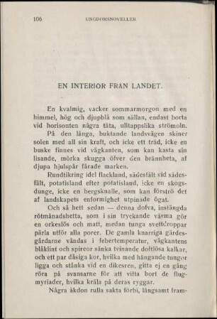 En Interiör Från Landet.