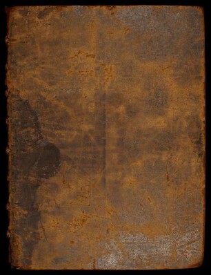 Bibliorum sacrorum pars: Vetus Testamentum, Proverbium-Macchabaeorum : Ms. Diez. C fol. 67