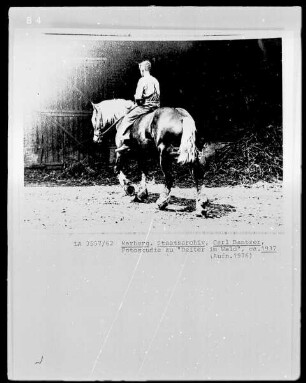 Fotostudie zu "Reiter im Wald"