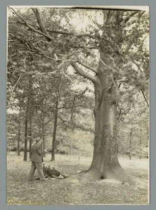 Sachsen, Waldfläche Oberholz. Besucher an einem Baum sitzend