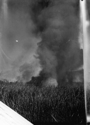 Brand in einem Dambo : Rauchsäule eines Feuers in einem Dambo.