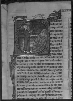 Vincentius Bellovacensis speculum naturae / Speculum maius / Speculum naturale — Initial E(adem) mit Dominikanermönch, der die Fische im Meer und ein Meerweibchen betrachtet, Folio fol. 213 r
