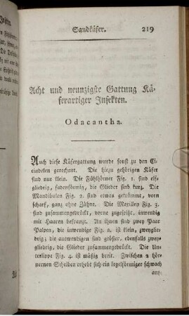 Acht und neunzigste Gattung Käferartiger Insekten. Odacantha.