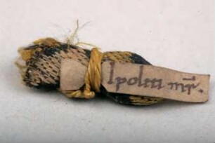 Reliquie des Hl. Hippolyt