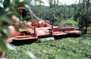 Fotografie: Obstbau, Bodenpflege
