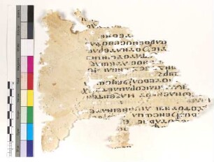 [Dormitio et assumptio Mariae] : Fragm. copt. Makarios Varia 12