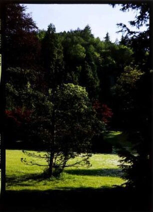 Bodman: Schlosspark