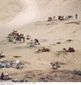 Ägypten: Gizeh