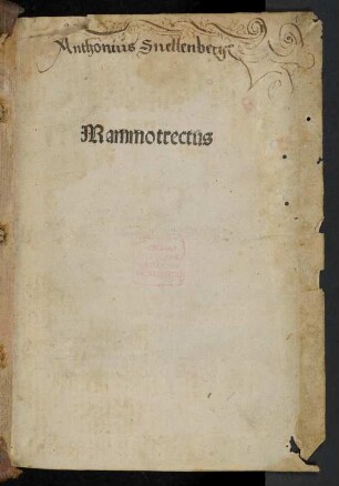 Mammotrectus super Bibliam