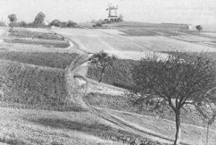 Großbothen-Schönbach. Blick zum Turmholländer, Ansichtskarte