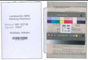 Entnazifizierung Wilhelm Wohllebe , geb. 24.02.1903 (Kaufmann)