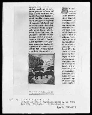Gaston Phoebus und Kaiser Friedrich II. — ---, Folio 3recto-97verso---, Folio ---Wildschweine, Folio 21verso