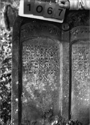 Grabstein 1067 (Index: 99753341) Material: Sandstein Zustand: leicht verwittert Maße HxBxT: 119x82x13 cm Beschreibung: Doppelstele, zwei Schriftfelder eingetieft Symbolik: Voluten, Mittelakroter, Scheibe: Grabstein 1067 (Detailaufnahme 2)