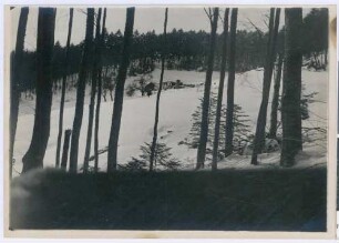 Foto einer französischen Stellung oberhalb Waldhaus südwestlich Saint-Marie-aux-Mines mit dem zerstörten Gebäude