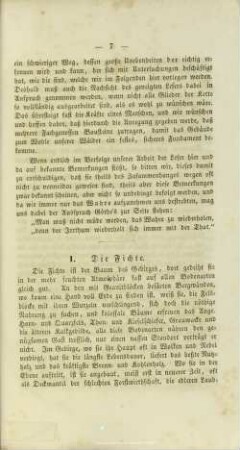 I.1. Die Fichte