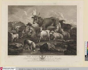 The goat herd [Die Ziegenherde]