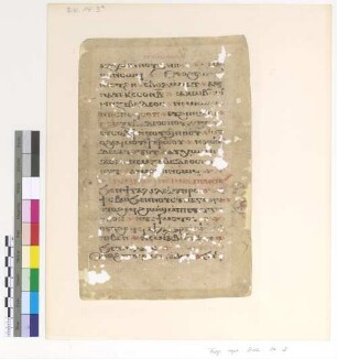 Matt. IV, 20 - 24