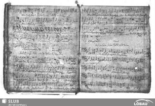 Grimm, Heinrich: Singet dem Herrn ein neues Lied lobsinget seinem Namen