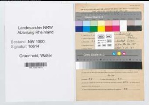 Entnazifizierung Walter Gruenheid, geb. 05.01.1908 (Krankenpfl.)