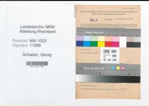 Entnazifizierung Georg Schwarz , geb. 11.06.1896 (Polizeibeamter)