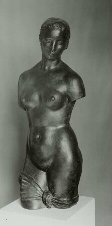 weiblicher Torso