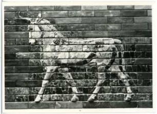 Berlin. Staatliche Museen, Vorderasiatisches Museum, Relief Schreitender Stier vom Ischtar-Tor