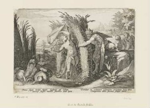 Pan und Syrinx, Blatt 18 der Folge "Ovids Metamorphosen Buch I"