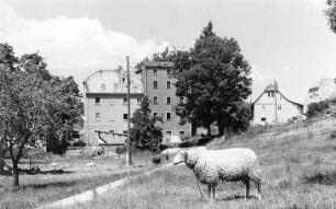 Strahwalde. Obermühle