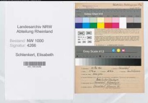 Entnazifizierung Elisabeth Schlenkert, geb. 29.05.1901 (Postsekretaerin)