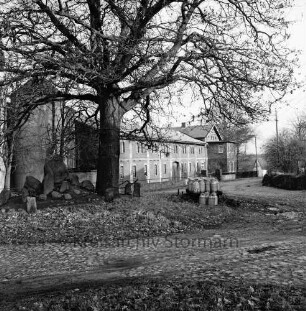 Dorfanger mit Ehrenmal und Baum: dahinter Bauerngehöft von Heinz Burkhardt: rechts Milchbock mit Milchkannen