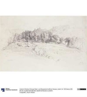 Felsige Wald- und Berglandschaft bei Olevano