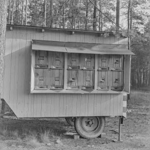 Commerauer Bienenhaus : Commerau/Komorow. Mobiler Bienenwagen