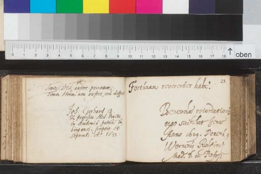 Einträge Bl. 21 - 42