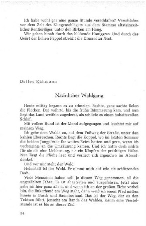 Nächtlicher Waldgang
