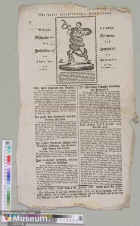 Mehrere lebendige Schlangen oder Serpenten, wie auch Krokodillen und Armadillo's