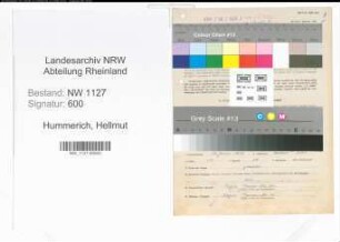 Entnazifizierung Hellmut Hummerich , geb. 12.01.1913 (Ingenieur)