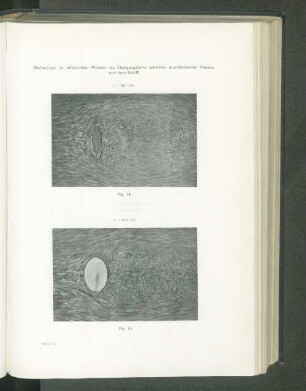 v=24,8 cm.